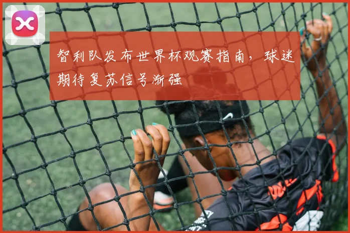 智利队发布世界杯观赛指南，球迷期待复苏信号渐强