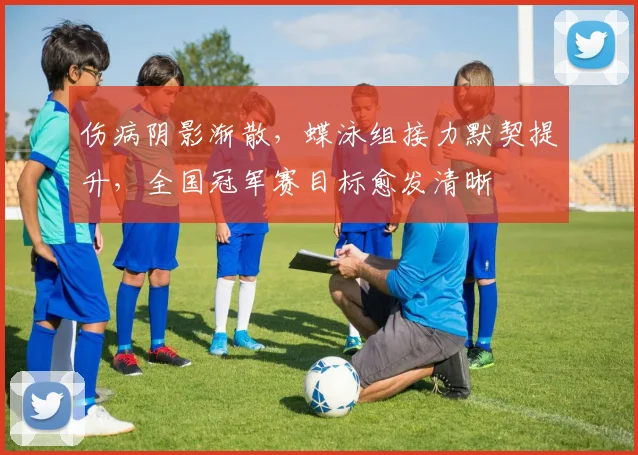 伤病阴影渐散，蝶泳组接力默契提升，全国冠军赛目标愈发清晰