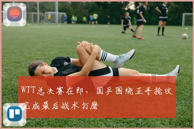 WTT总决赛在即，国乒围绕正手抢攻完成最后战术打磨